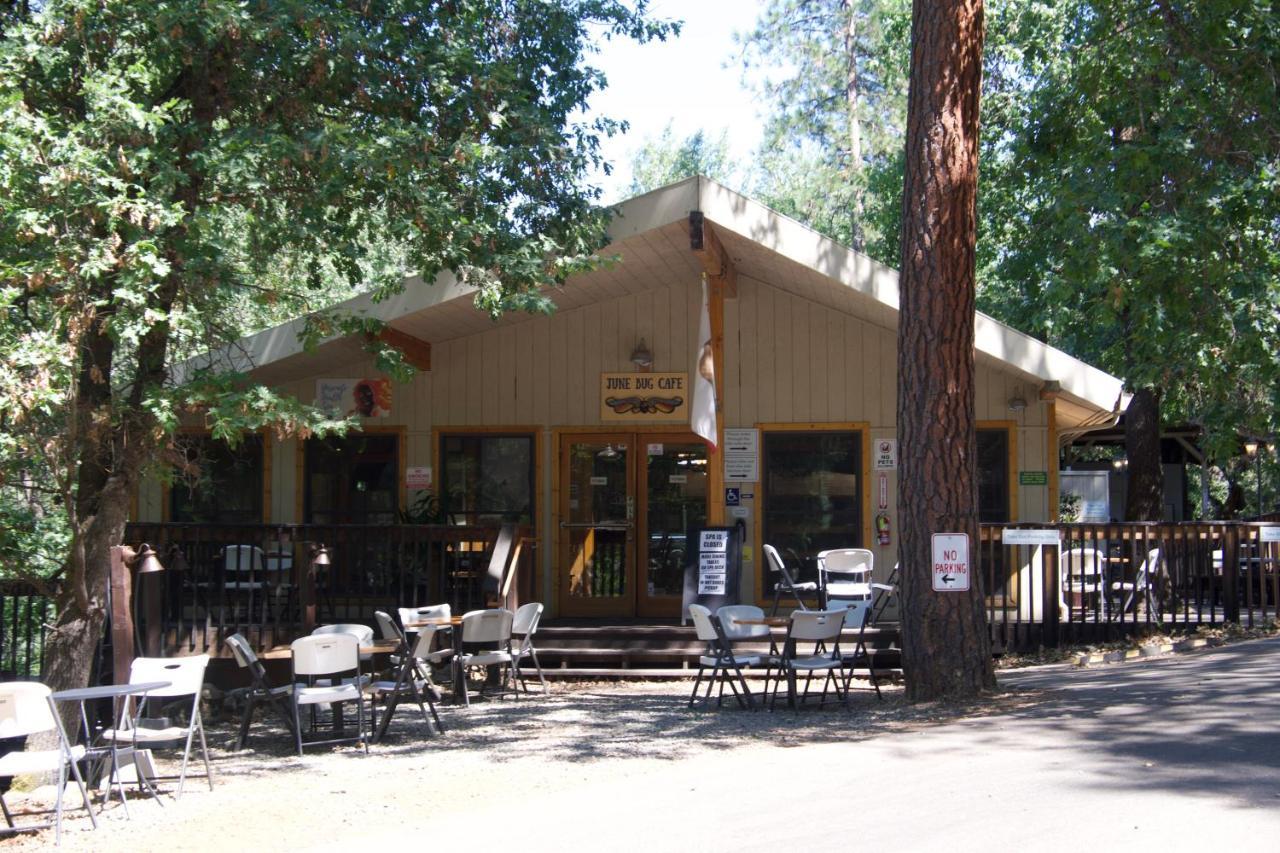 Yosemite Bug Rustic Mountain Midpines