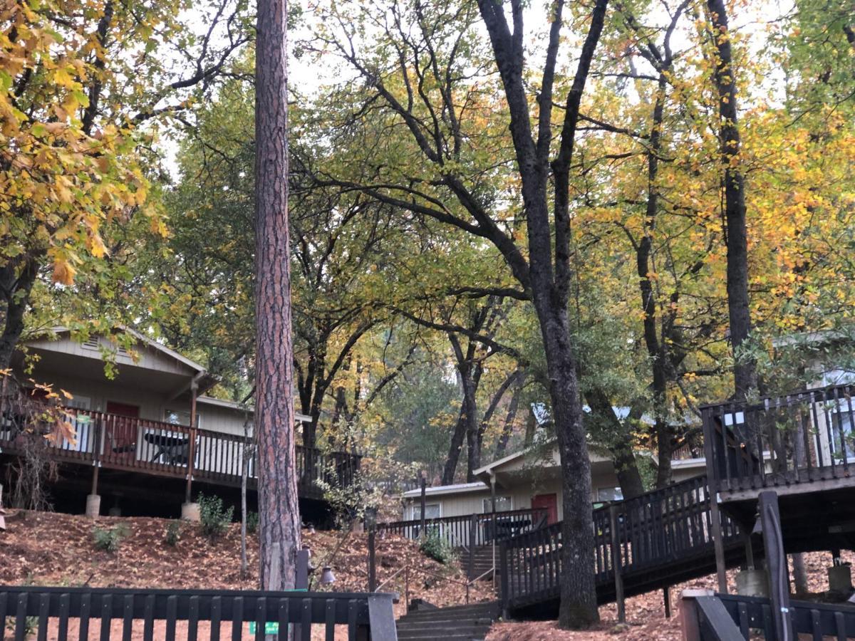 Yosemite Bug Rustic Mountain Lodge Midpines