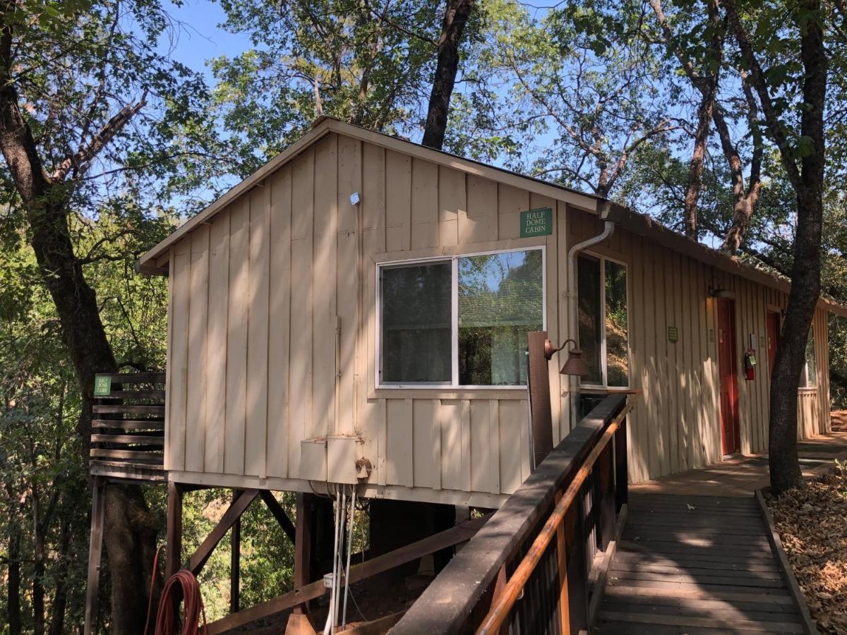 Lodge Yosemite Bug Rustic Mountain