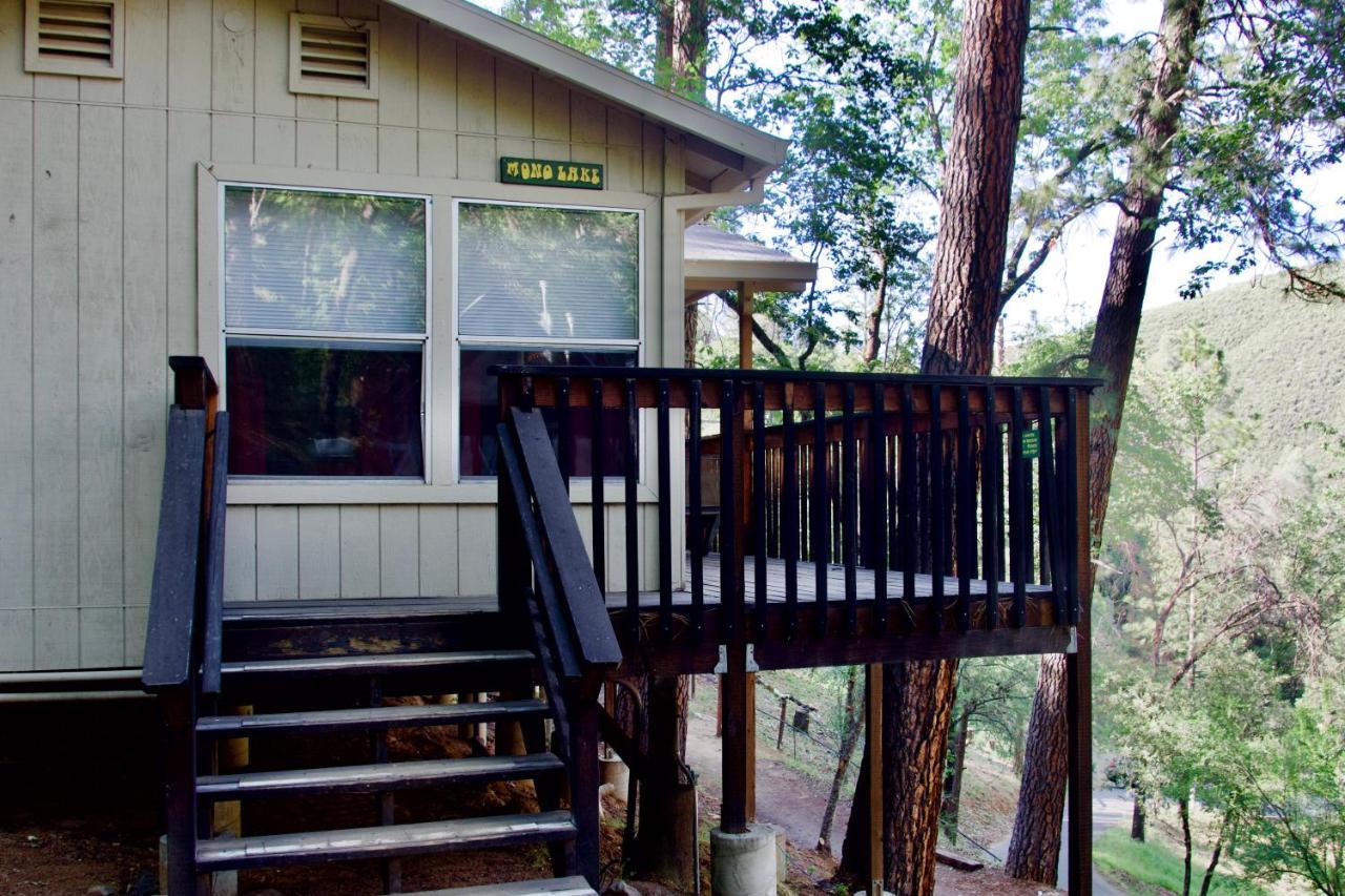 Yosemite Bug Rustic Mountain Lodge