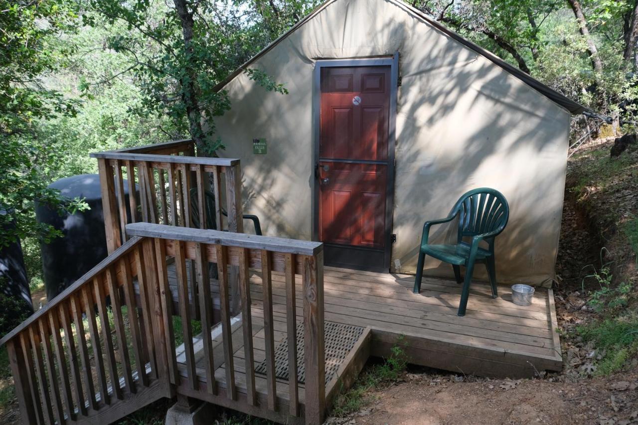 Yosemite Bug Rustic Mountain Lodge *