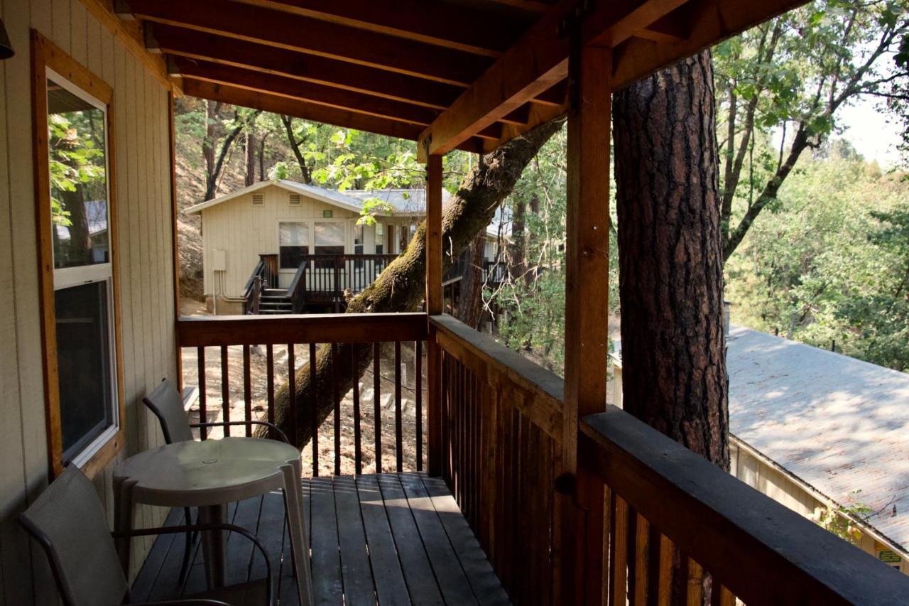 Lodge Yosemite Bug Rustic Mountain Midpines