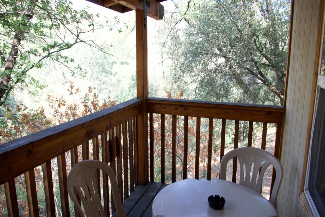 Lodge Yosemite Bug Rustic Mountain *