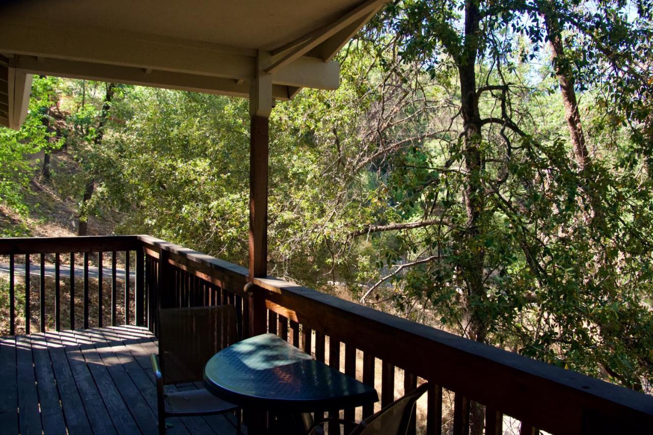 Lodge Yosemite Bug Rustic Mountain Midpines