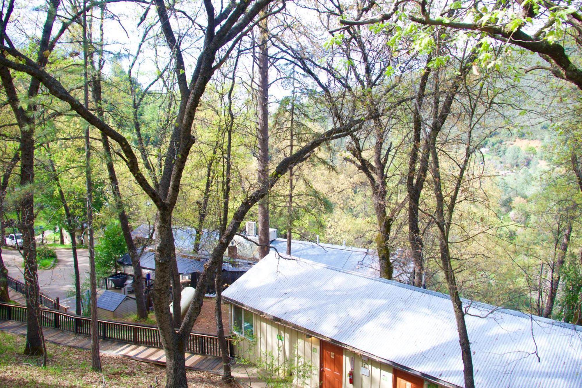 Yosemite Bug Rustic Mountain Lodge *