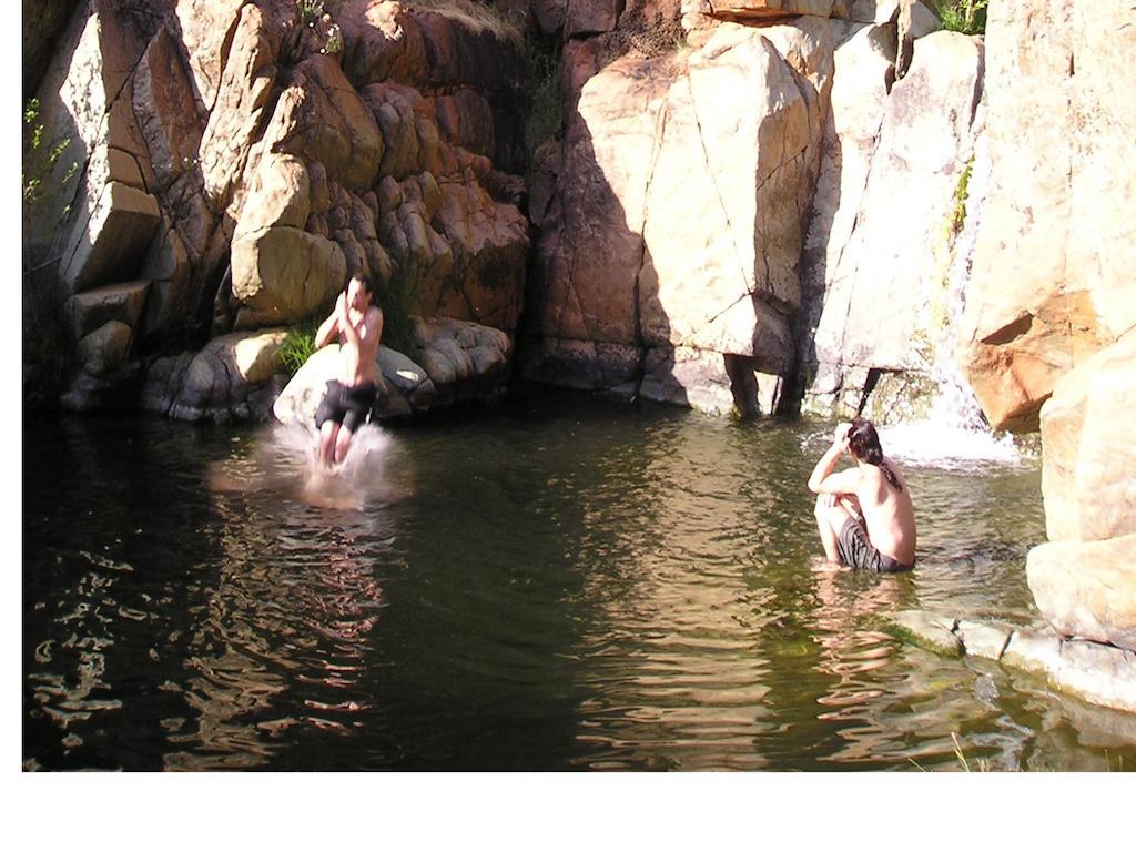 Lodge Yosemite Bug Rustic Mountain