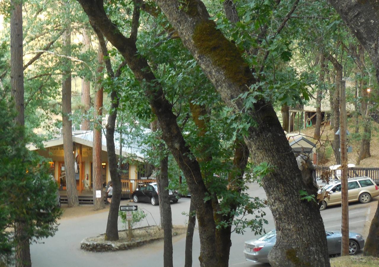 Lodge Yosemite Bug Rustic Mountain *